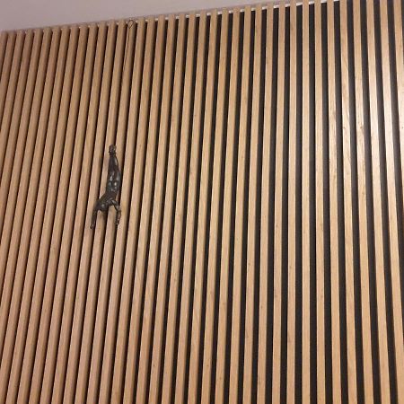 شقة Apartament Szymoszkowa زاكوباني المظهر الخارجي الصورة